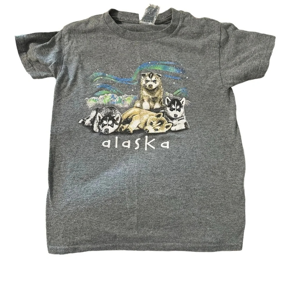 Delta Pro Weight Alaska boys size small grey t-shirt